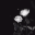 𝜗𝜚 ࣪˖ ℓ𝓲ℓ𝓲th𝘇 𐰁 ༢