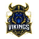 Vikings eSports BIH