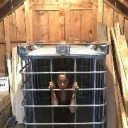 Submissive Training Cage Discord Server Icon