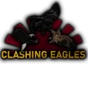 Clashing Eagles