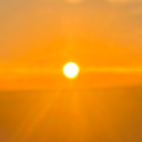 Paradise Discord server icon