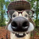 The Roundtable Jawns | Socialize・Text・Talk・Chat・Gaming・Anime Discord server icon