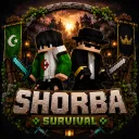 Server icon