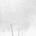 𝓟𝓪𝓻𝓪𝓼𝓲𝓽𝓮 𝓮𝓷𝓽𝓻𝔂 𓆑 Discord server icon