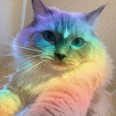 ⊹₊˚‧︵‿₊୨ Kitties ୧₊‿︵‧˚₊⊹