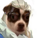 Darnells server
