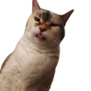 noodles supa dupa awesome  minecraft server Discord server icon