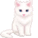 ‧₊˚✧𝘓𝘪𝘷𝘦𝘛𝘪𝘮𝘦✧˚₊‧