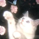 ‧₊˚✧𝘓𝘪𝘷𝘦𝘛𝘪𝘮𝘦✧˚₊‧ — Дискорд Сервер