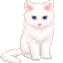 ‧₊˚✧𝘓𝘪𝘷𝘦𝘛𝘪𝘮𝘦✧˚₊‧