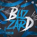 Blizzard Comunity