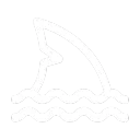 Wavelit