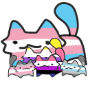The trans cat