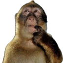 Faultline Server Icon