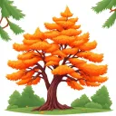 Cedar Prowl