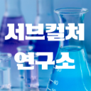 서브컬처 연구소