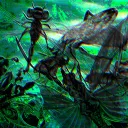 METAMORPHOSIS