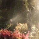 ︶𝆹𝅥﹒🌸 Angel's Garden 🪽﹒︵
