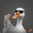 Cool Chaos Club
