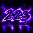223