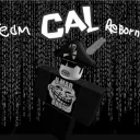 (OLD) Team Cal Reborn / TCR