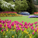 (LGBTQ+) Garden of Eden Discord server icon