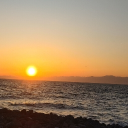 FreeStyle Discord server icon