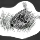 BAA Community