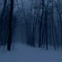 The Long Dark