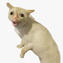 23א