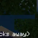 Minecraft Bedrock community