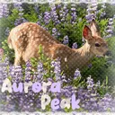 Aurora Peak