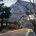 ౨౿,  apricit𝓎acad𝑒my ᐟ 𖦹 Discord server icon