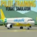 Flight Simulator Morze Śródziemne RP (Szkolenie Pilotów Flight Simulator)