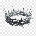 thorn