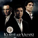 Kurtlar Vadisi : PUSU.