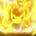 ☀Pikachu’s Empireᴾᴱ
