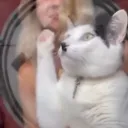 TECNO's ARMY Discord Server Icon