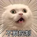 🐱動物集合站🐶