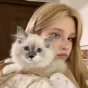 kittys ⋆˙⟡ guilds ⟢ giveaways ⟢ friends ⟢ cute ⟢ active ⟢ chat ⟢ tags ⟢ fun ⟢ social Discord server icon