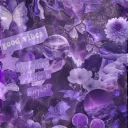 ╭・counting ✧.*