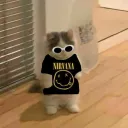 nirvana