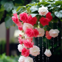 Calypsis Smp Discord server icon