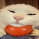 Garbage Can Remastered Discord server icon