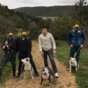 bacımöldü/https. Discord server icon