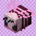 Friendly SMP