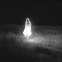 The Velvet Ghost • (18+)