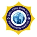INTERNATIONAL CRIMINAL POLICE FORCES