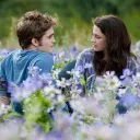 The Twilight Saga