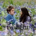 The Twilight Saga